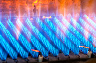 Edlingham gas fired boilers
